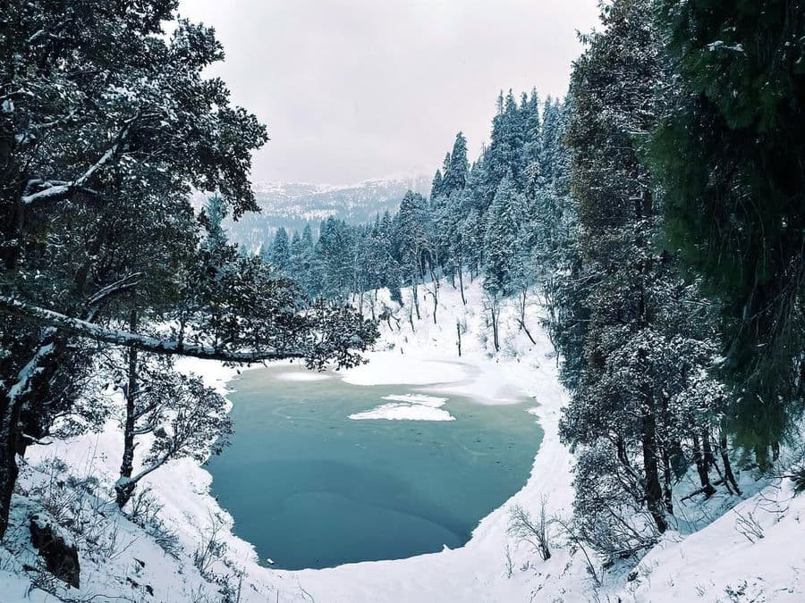 Kedarkantha Trek - Image 5