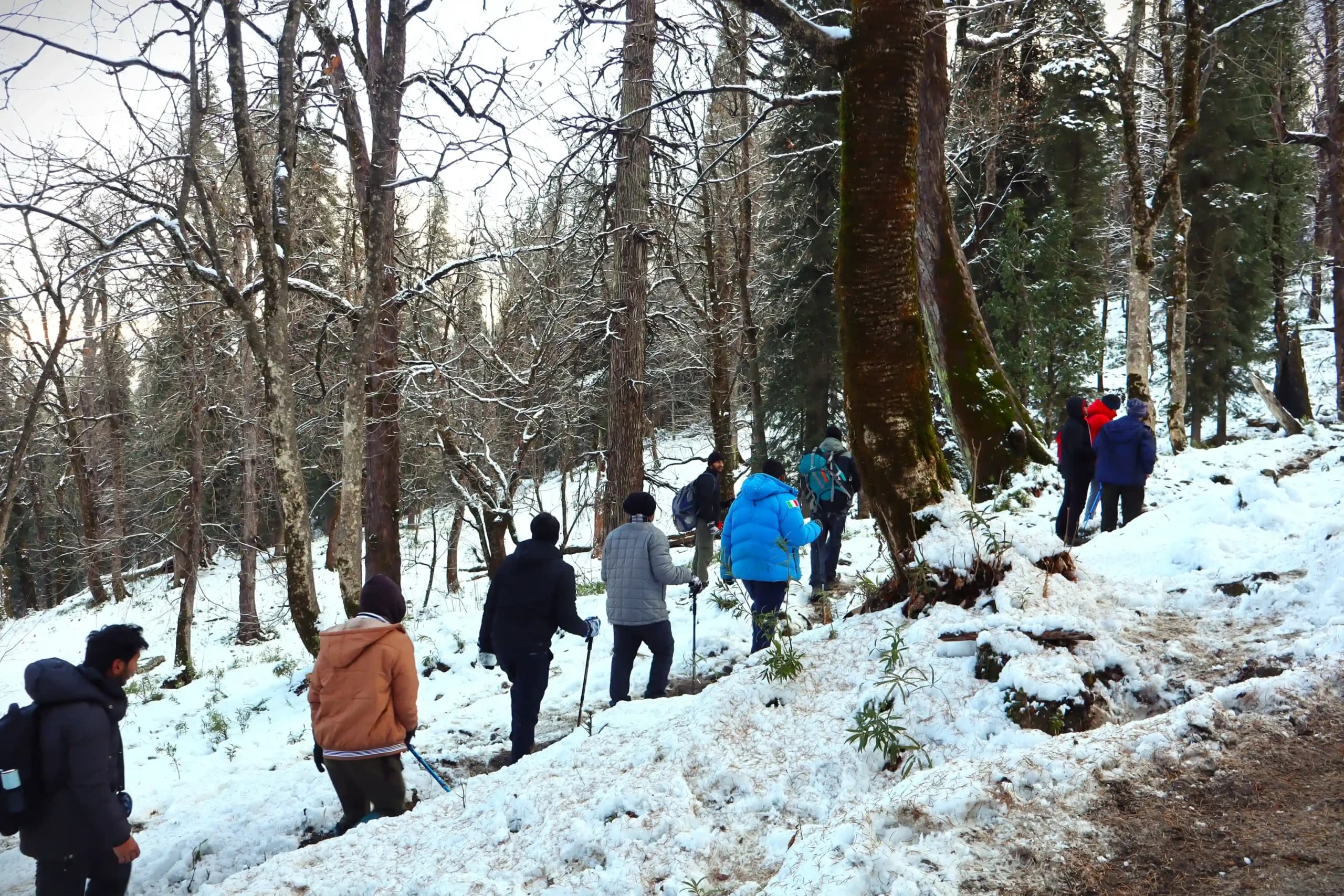 Kedarkantha Trek - Image 3