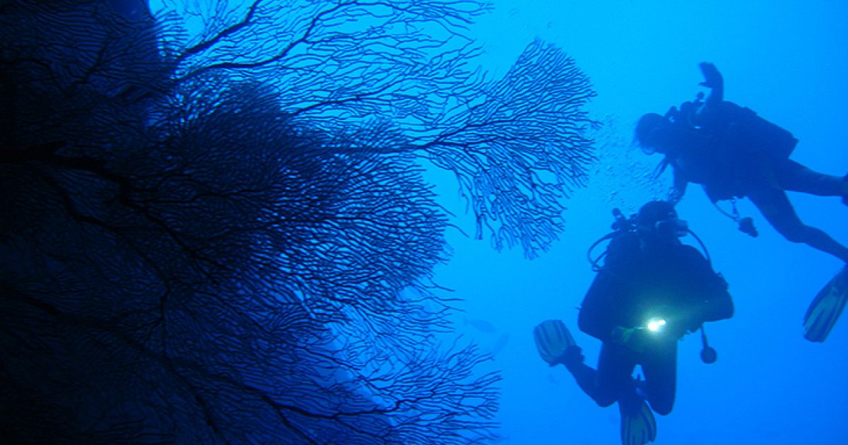 Scuba diving in Addu Atoll coral reefs