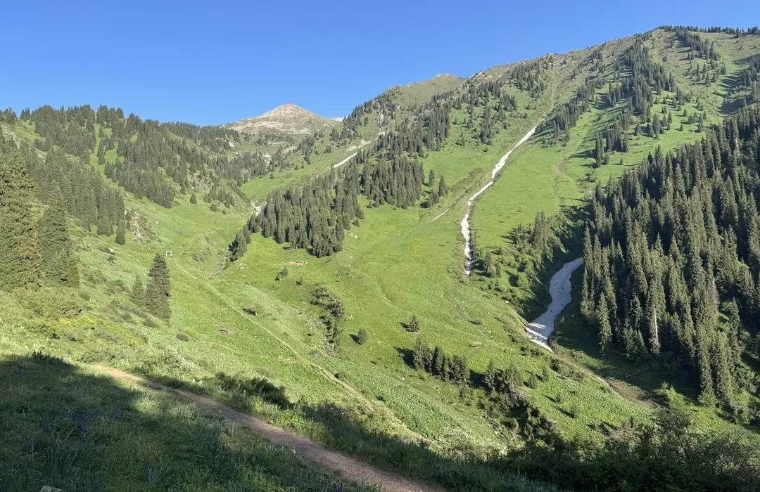 Trekking trail through alpine meadows in Ile-Alatau National Park