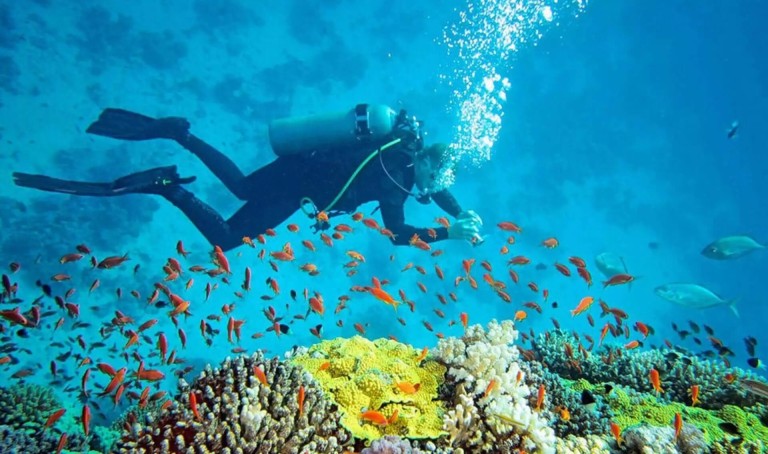 Scuba diving in Andaman coral reefs