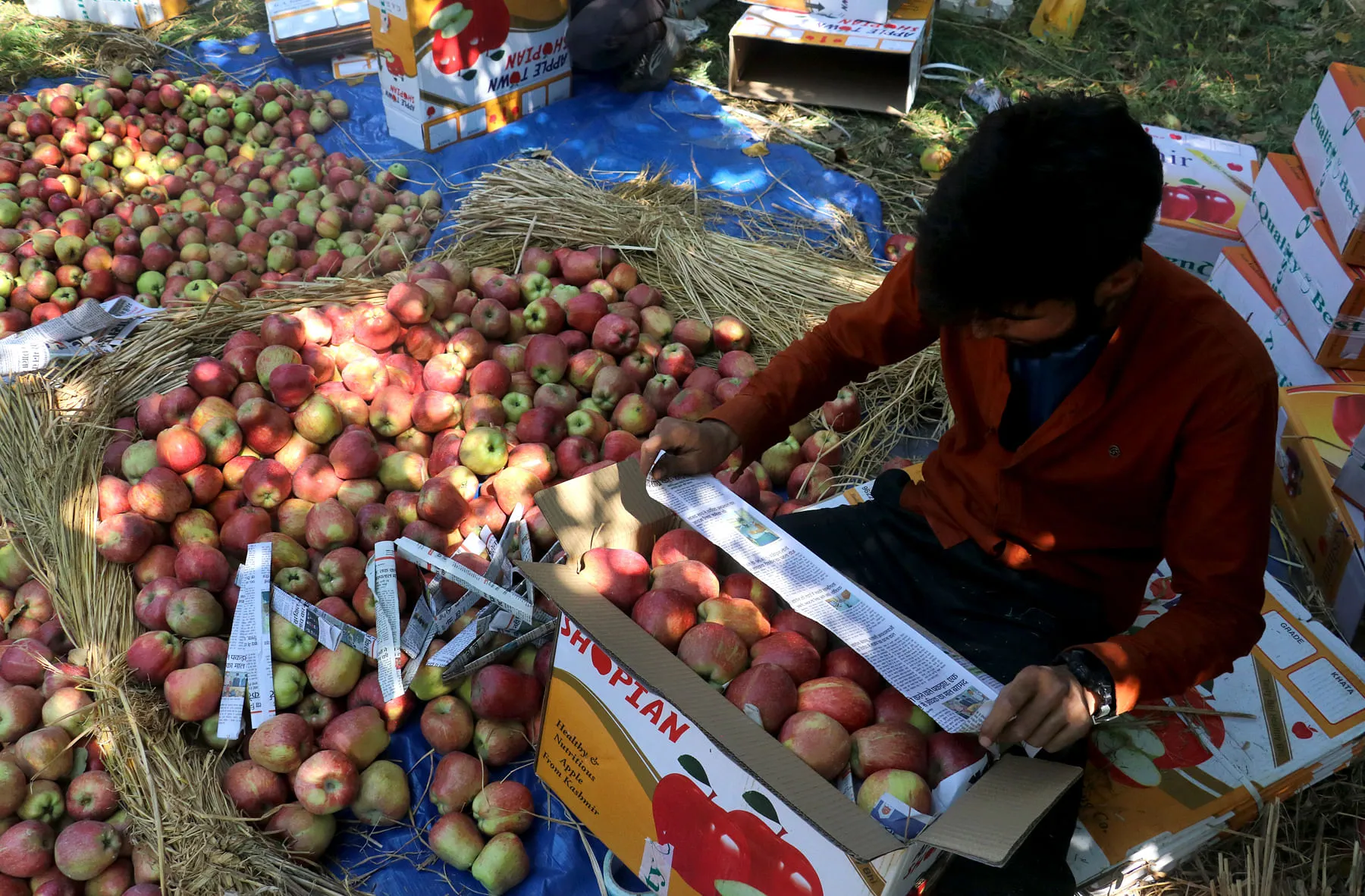 Local fruit market movement in Sopore during season