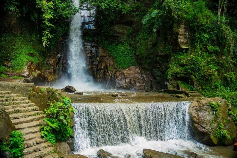 Banjhakri Falls in Gangtok surrounded by greenery