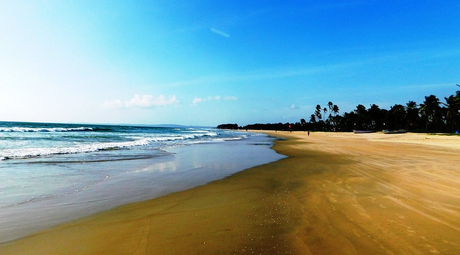 Benaulm Beach Goa shoreline with calm South Goa setting