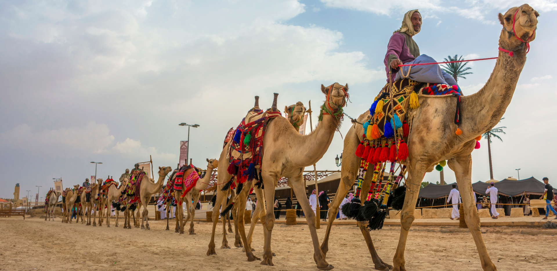 Bikaner Camel Festival opening atmosphere and camel parade