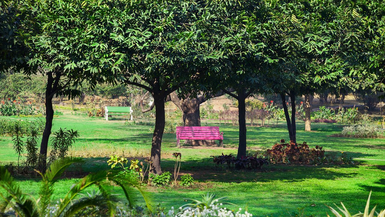 Buddha Jayanti Park gardens and Buddha statue
