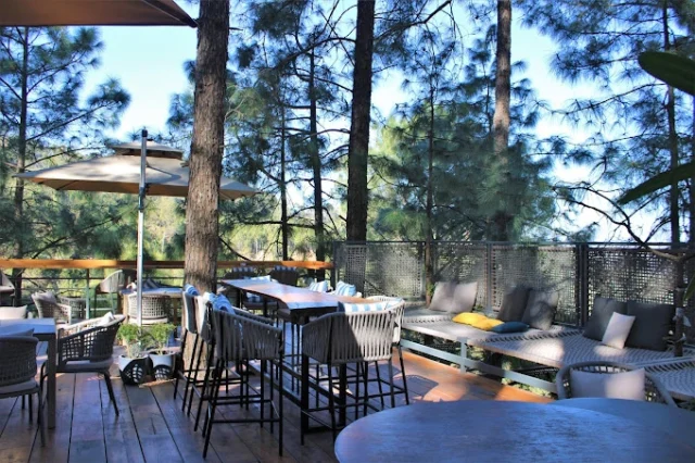 Cozy coffee shop in Kasauli