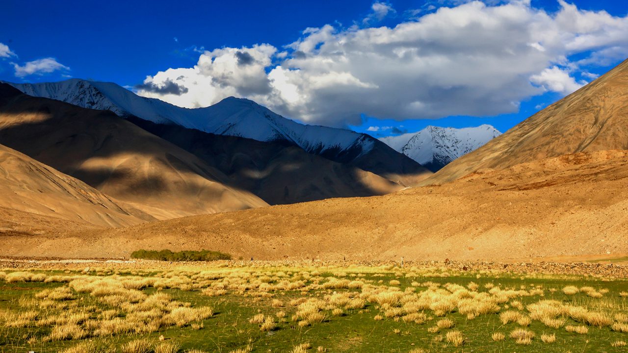 High-altitude plains and wetland landscape in Changthang