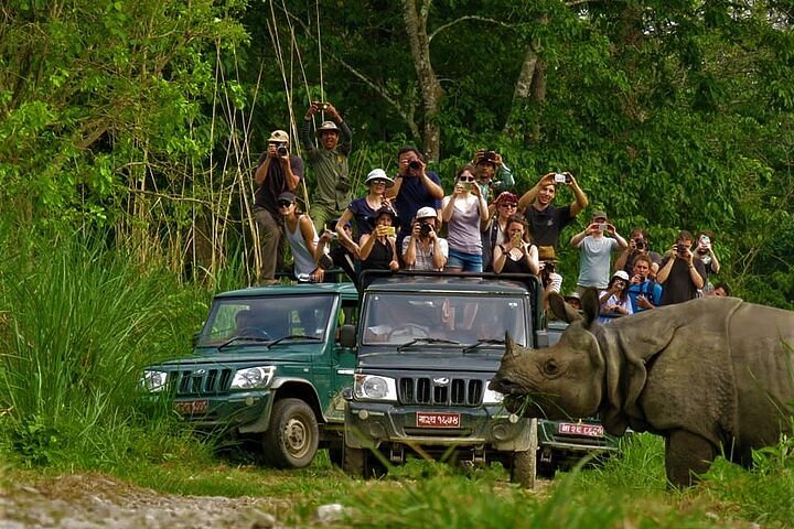 Jeep safari track inside Chitwan National Park
