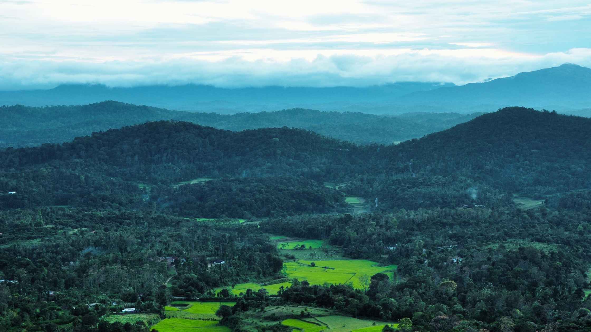 Scenic valley and plantation view in Coorg