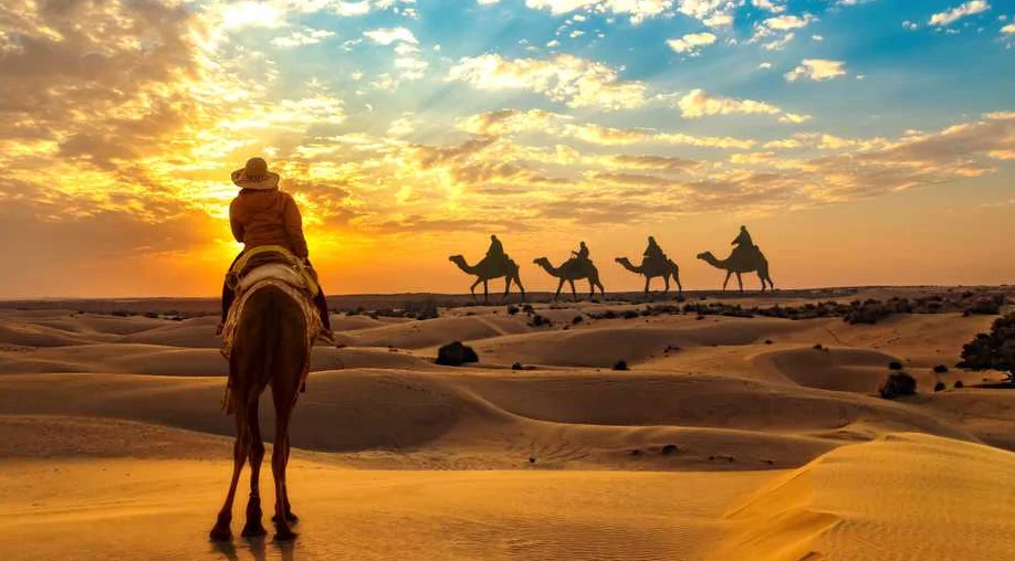 Desert landscape in Desert National Park Jaisalmer