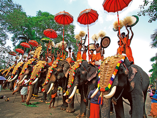 Thrissur Pooram elephants and temple festival atmosphere