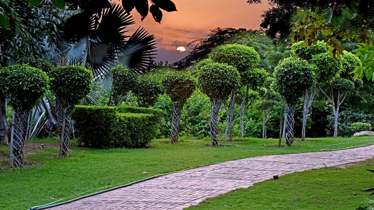 Garden of Five Senses Delhi landscaped pathways and sculptures