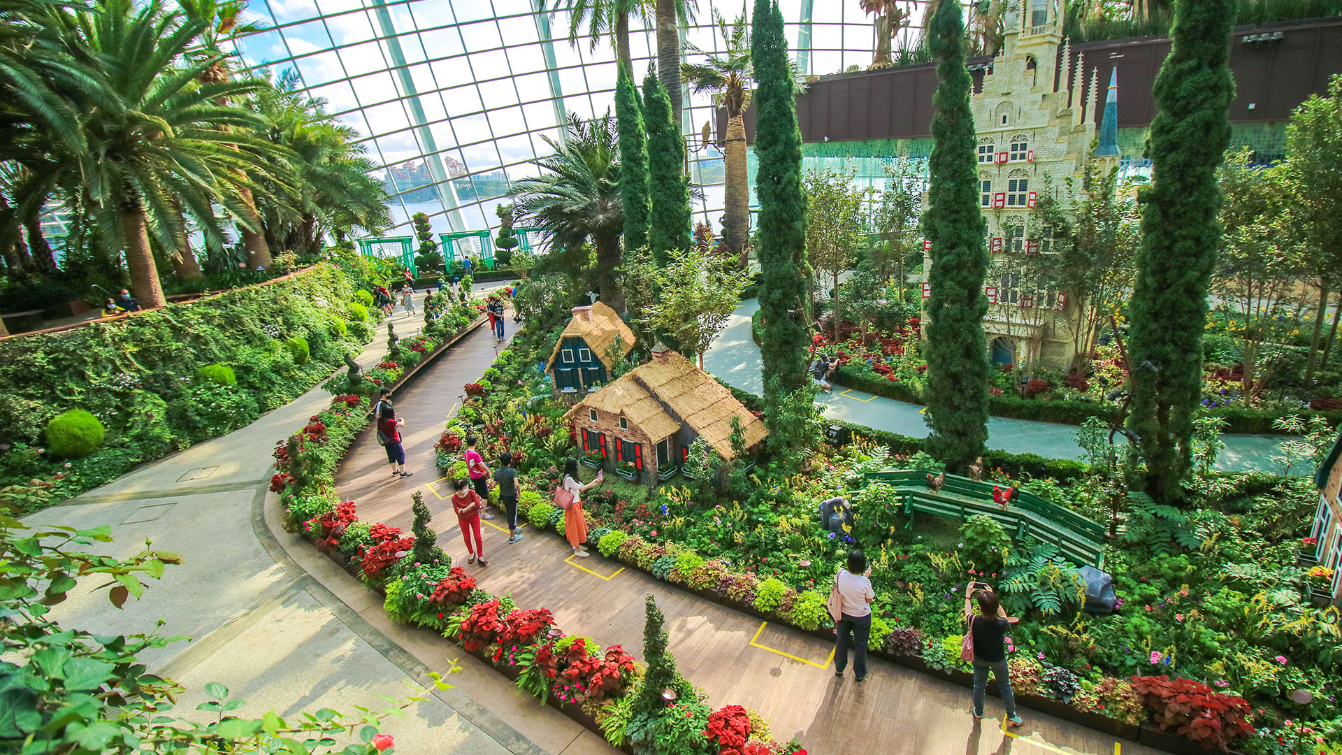 Flower Dome interior with Mediterranean plants and cacti