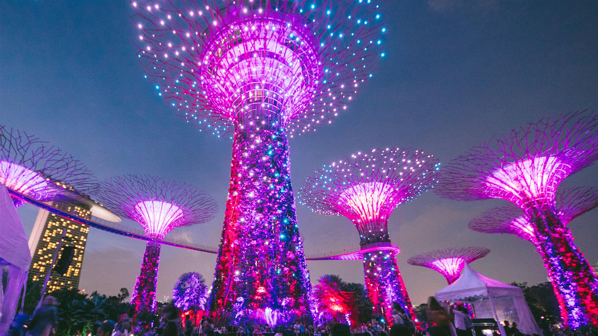 Supertree Grove at Gardens by the Bay with Marina Bay Sands in background