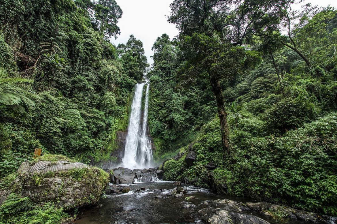 Scenic view of Gitgit Waterfall surrounded by lush tropical forest