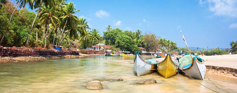 Goa beach with golden sand and coconut trees
