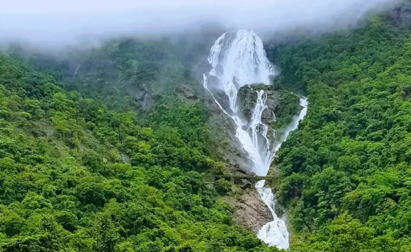 Dudhsagar Falls Goa