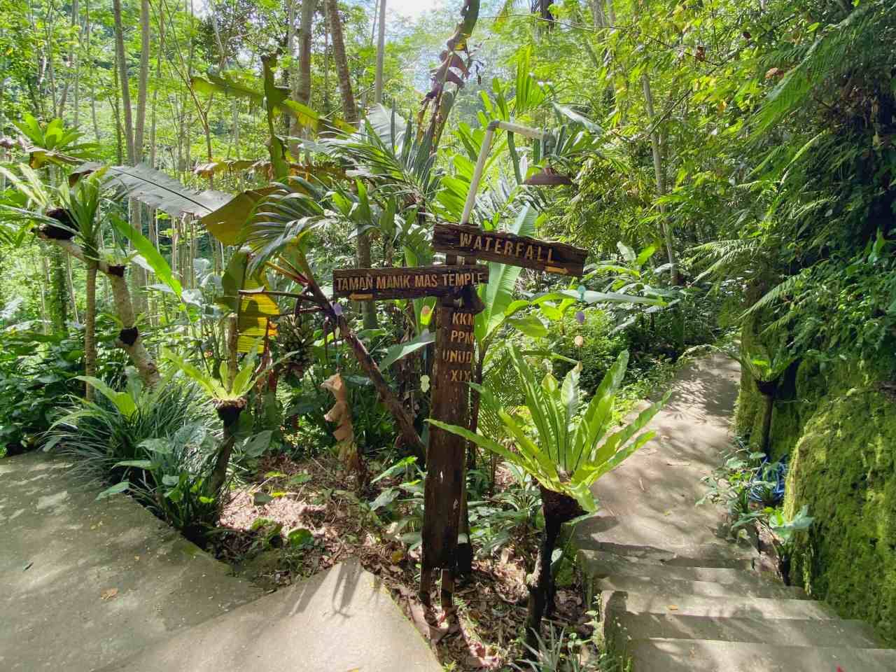 Pathway and steps leading to Goa Rang Reng Waterfall