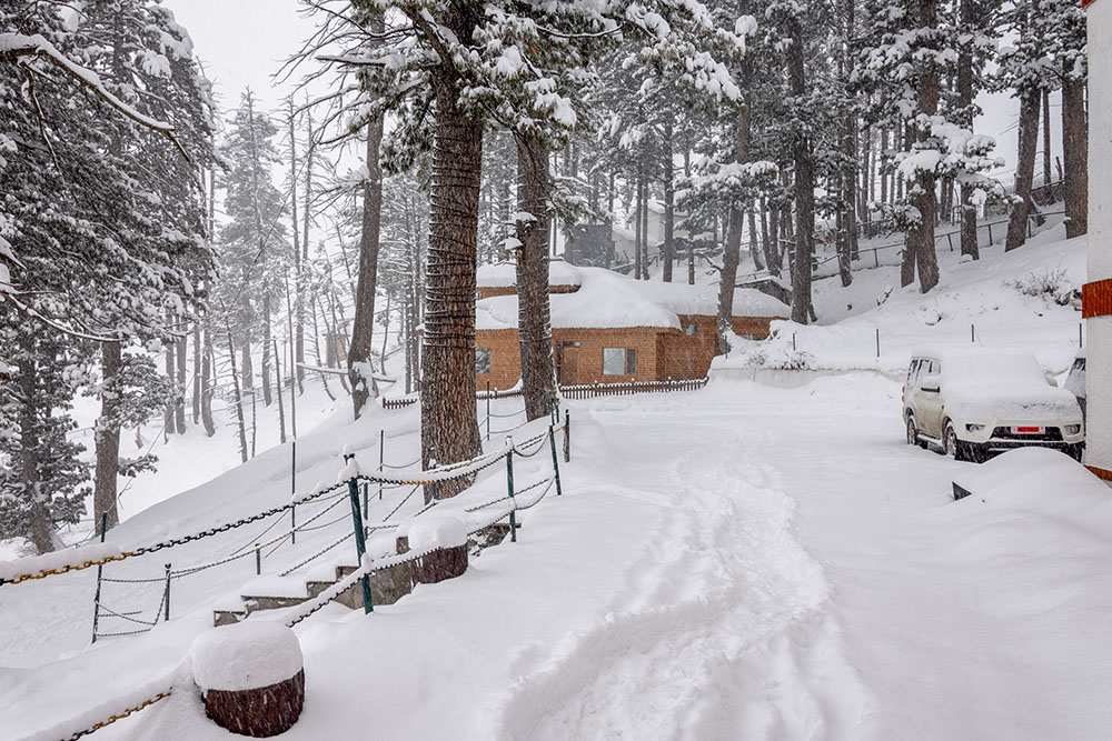 Snowy road to Gulmarg in January