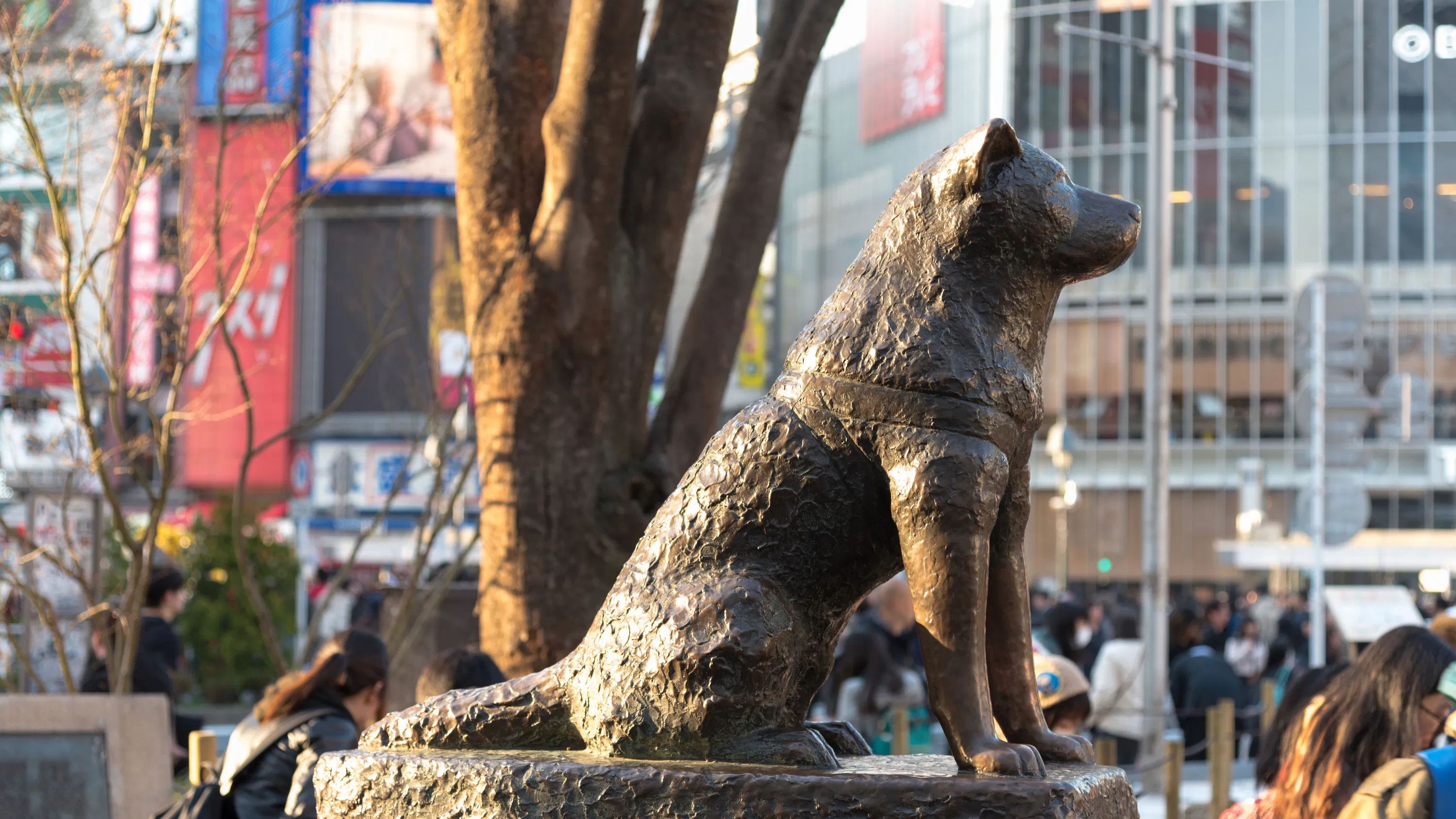 Hachiko statue outside Shibuya Station in Tokyo