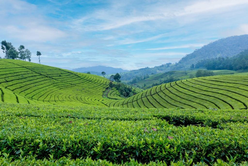 Couple enjoying mountain view in Darjeeling