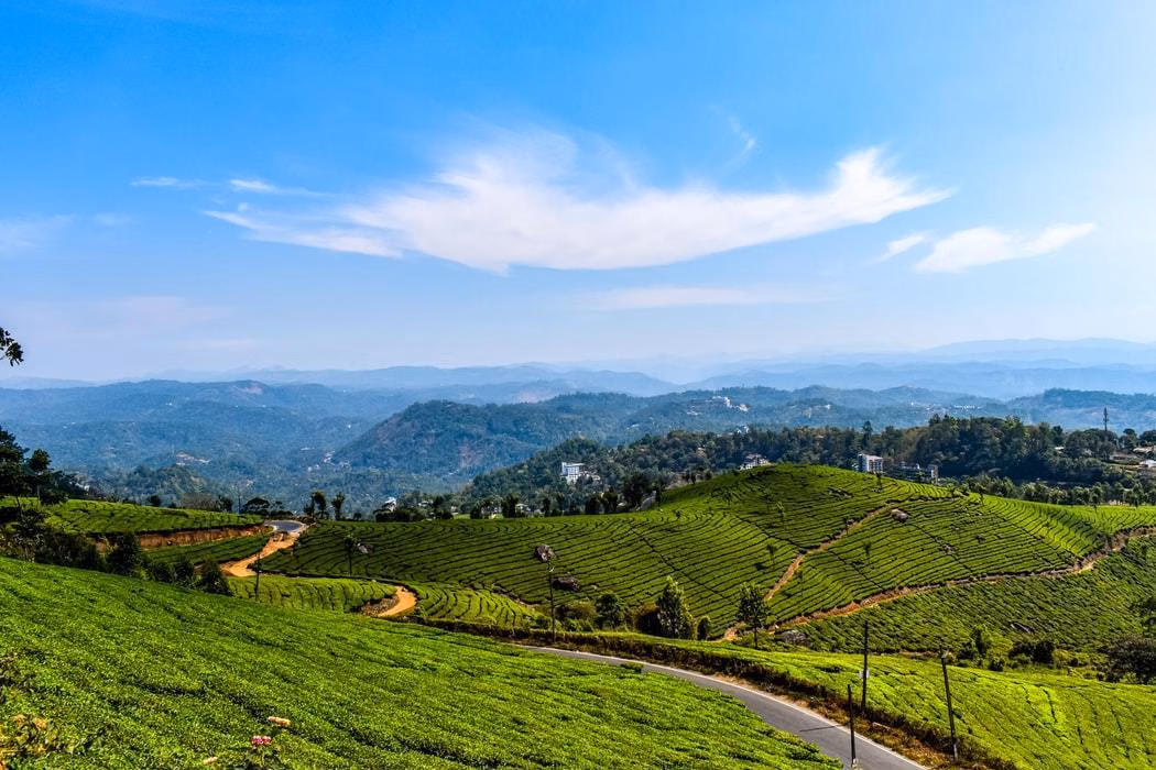 Romantic honeymoon destinations in India during March