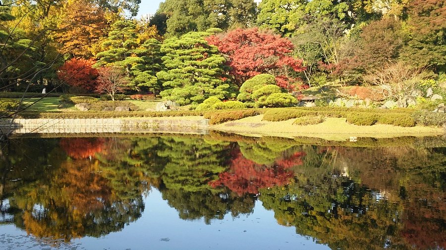 Imperial Palace East Garden pathways and stone walls