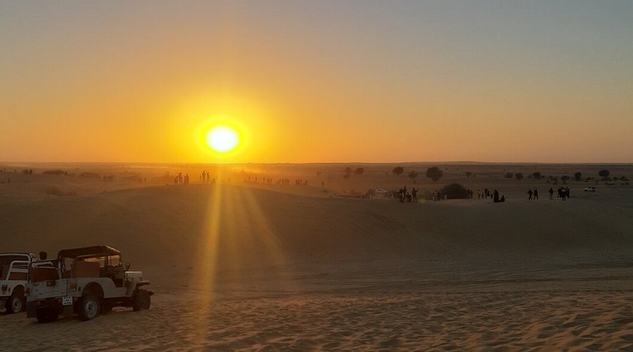 Golden desert safari in Jaisalmer with camel caravan
