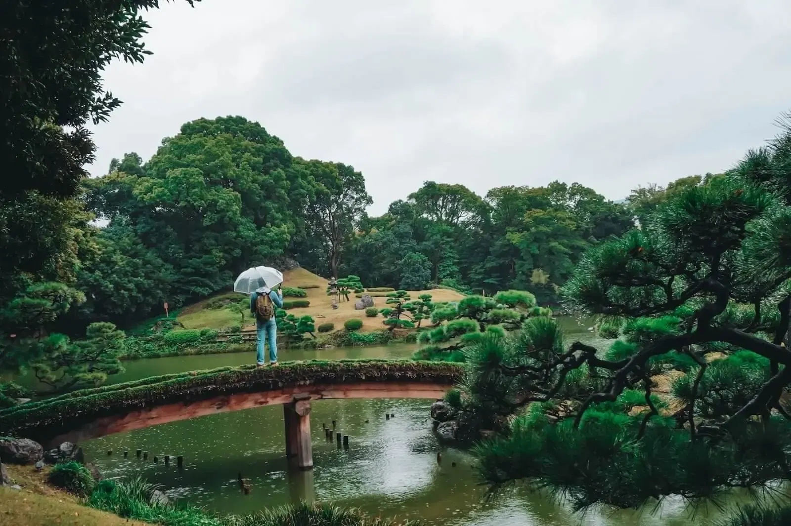 Japanese Park Delhi with beautiful pagoda structure and lush greenery