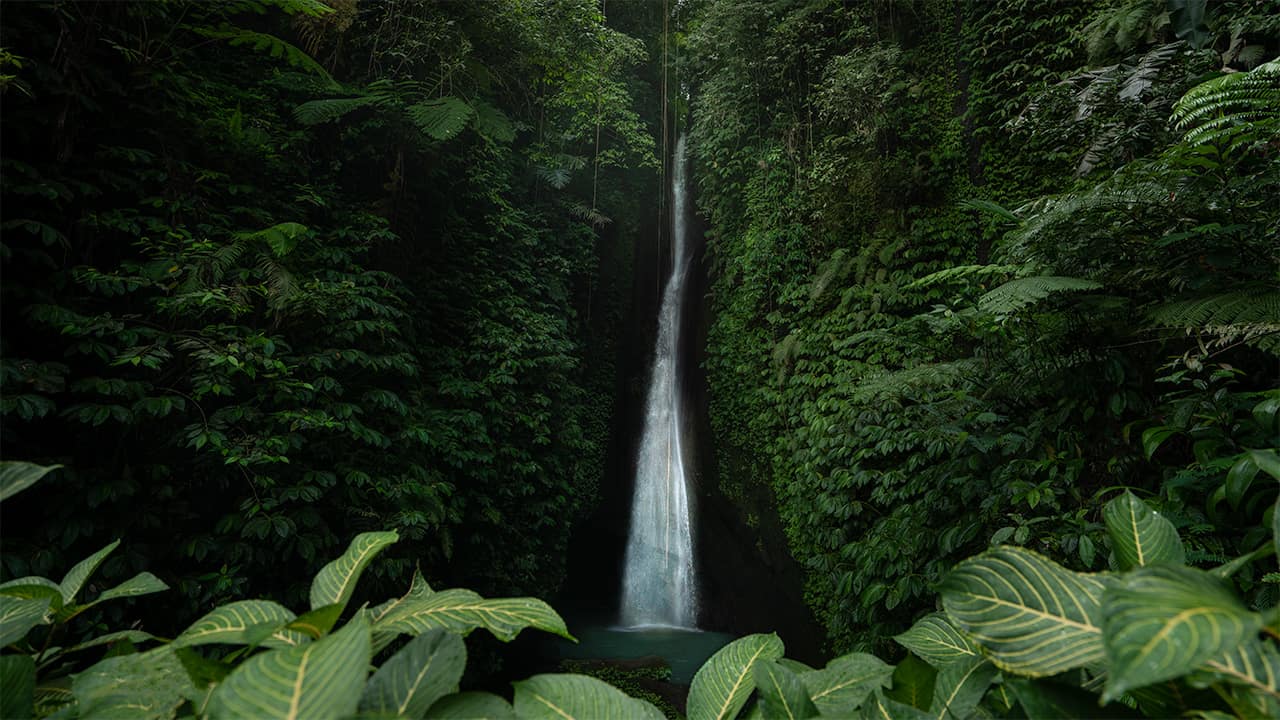 Leke Leke Waterfall Bali cascading through lush jungle