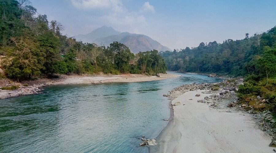 Manas National Park landscape with river