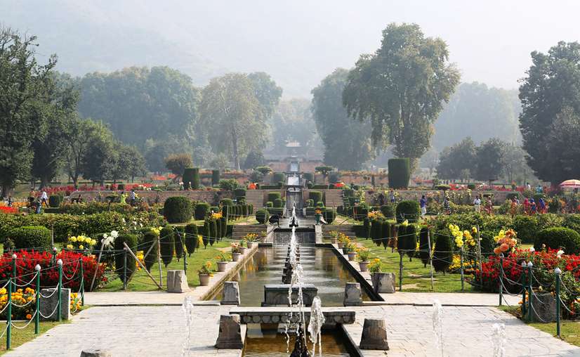 Shalimar Bagh with its famous chinar trees