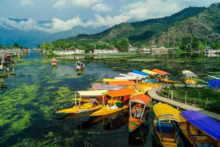 Shikara boat approaching Mughal Garden by Dal Lake