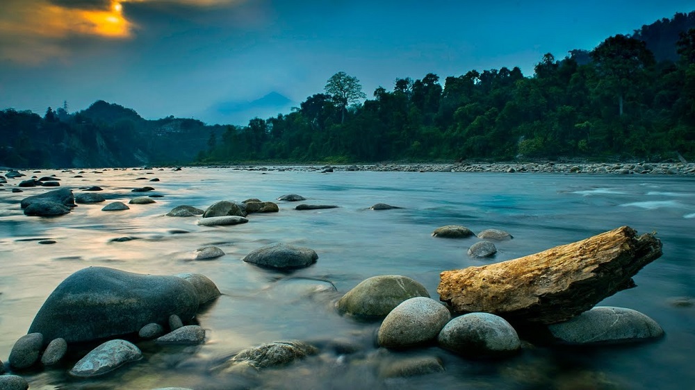 Nameri National Park forest landscape