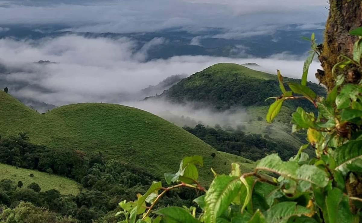 Misty hills of Coorg