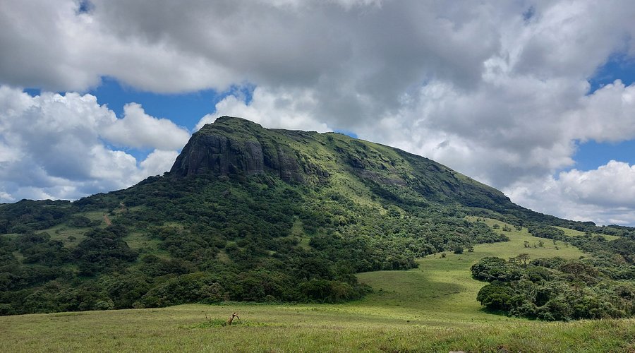 Trekking in Coorg hills