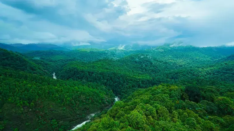Dense rainforest of Silent Valley National Park