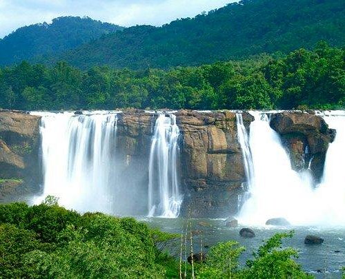 Hidden waterfall cascading through lush green forest