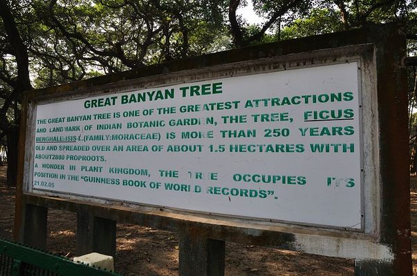 Visitor planning tips for Great Banyan Tree in Howrah