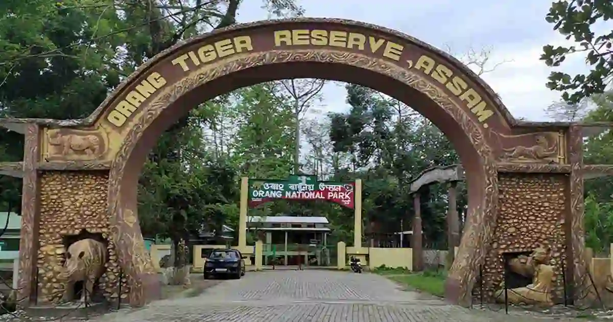 Orang National Park landscape with rhinoceros