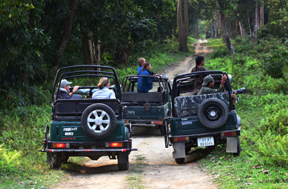 Jeep safari in Orang National Park
