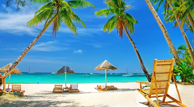 Paradise Beach shoreline with clear water and golden sand