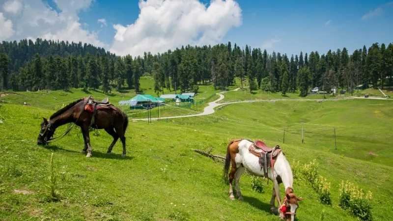 Gulmarg meadow landscape with snow peaks and gondola line