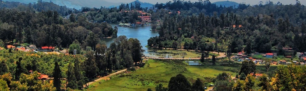 Tamil Nadu travel collage of temples coast and hills