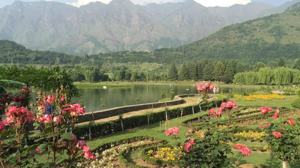 Wetland and tree habitat in Salim Ali National Park Srinagar