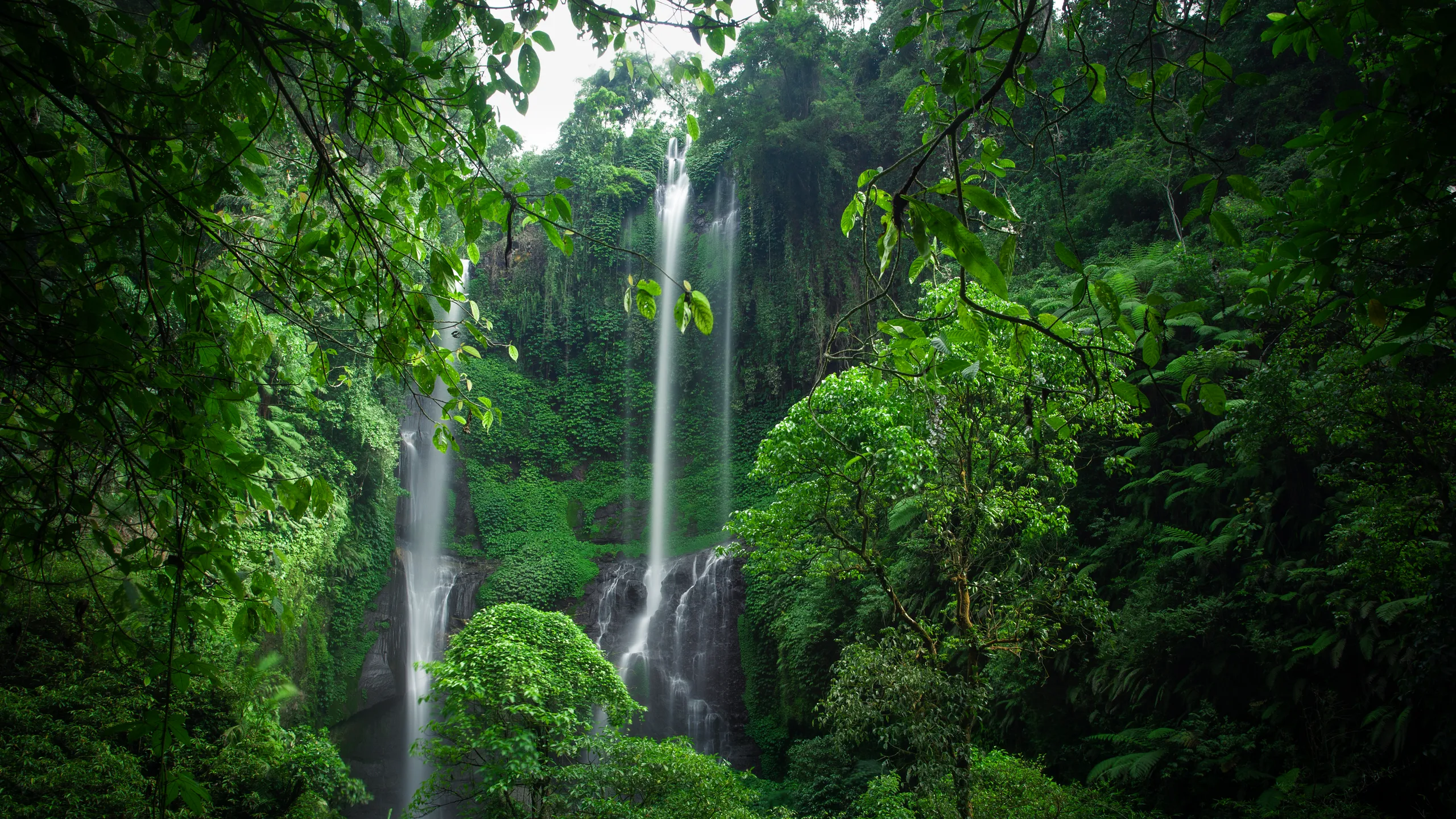 Tall multi-cascade Sekumpul Waterfall in Bali