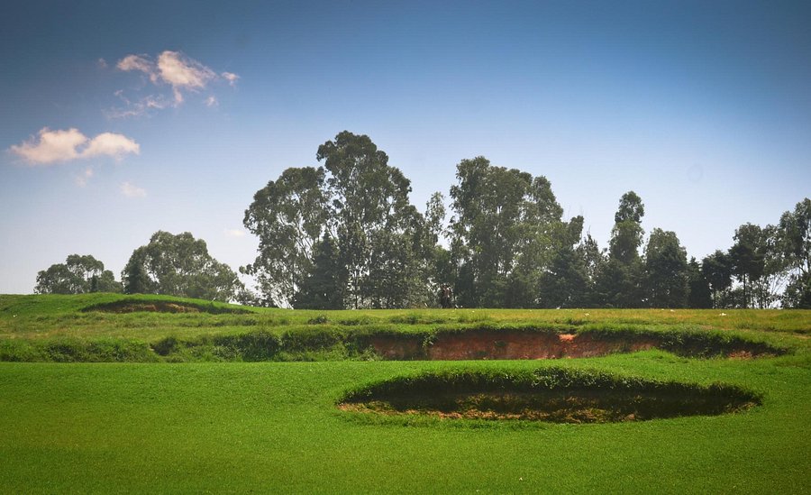 Shillong Golf Course open meadow and pine landscape