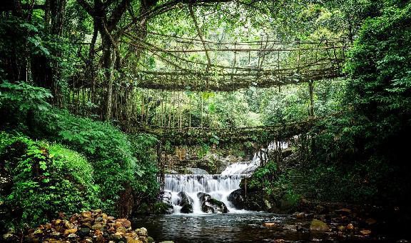 Sweet Falls Shillong waterfall in forest