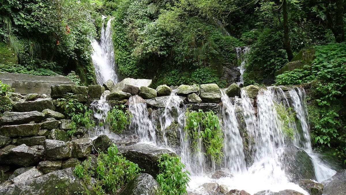 Pine-covered hills and valley view in Dalhousie